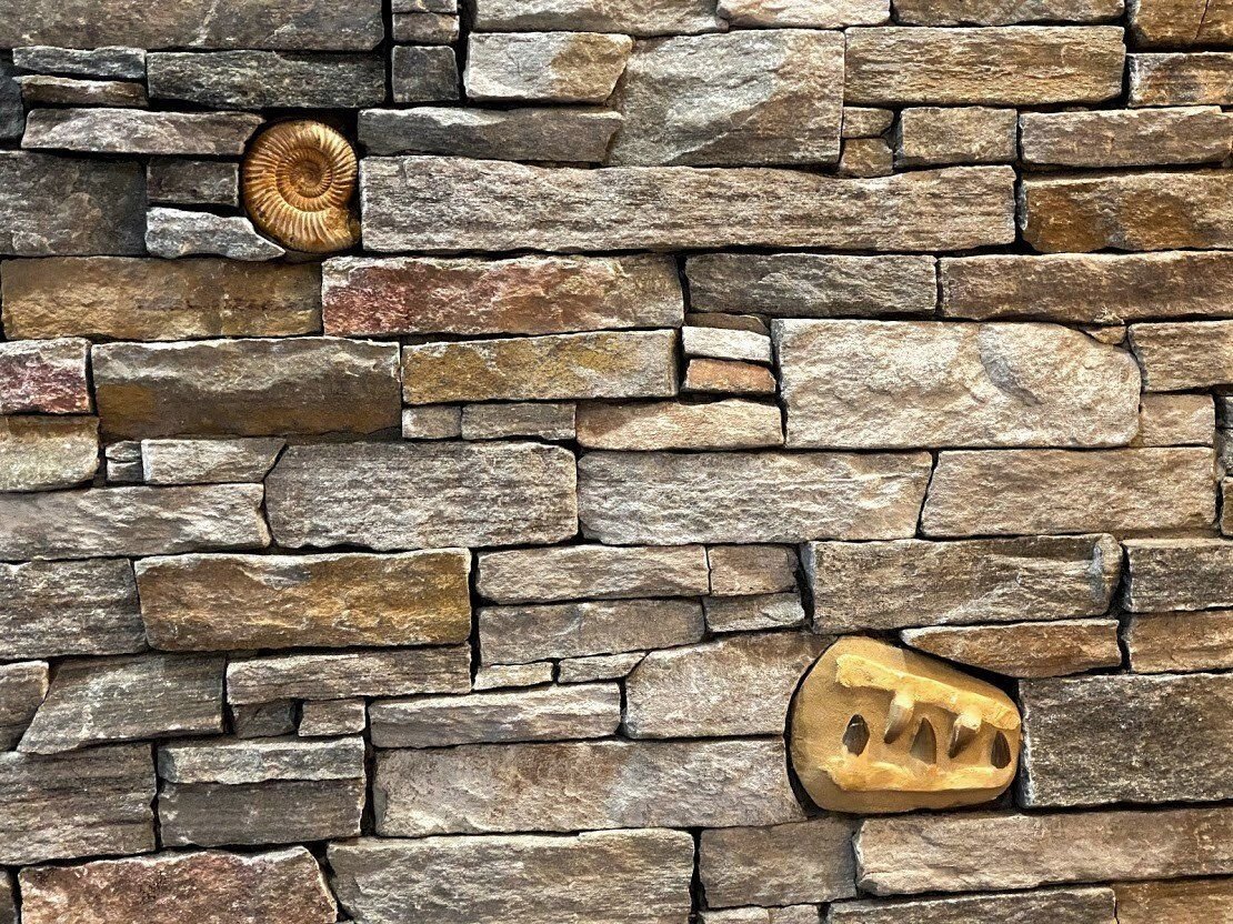 Stone wall with two small embedded decorative shells, one near the top left and one at the lower right.